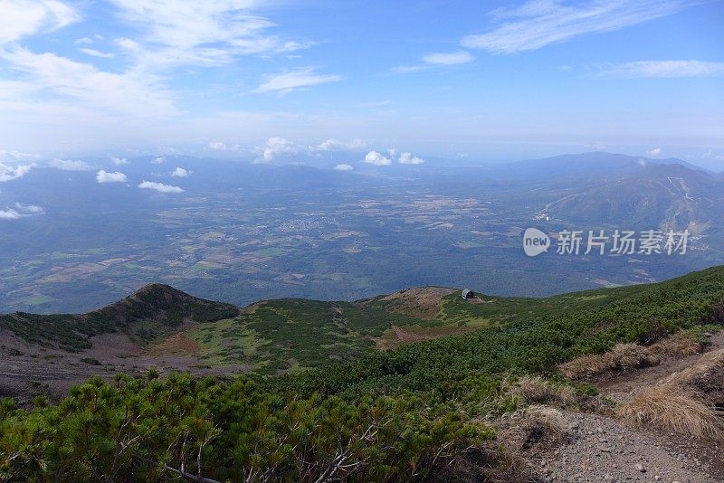 日本 约泰赞